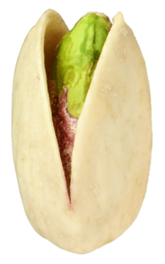 pistachio-1