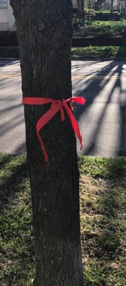 17904391_10202791592107578_839227846507153001_n